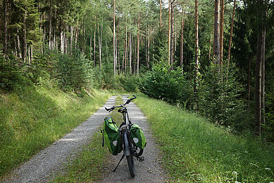 Weg von Rappelsdorf zur Hohen Straße Weg von Rappelsdorf zur Hohen Straße