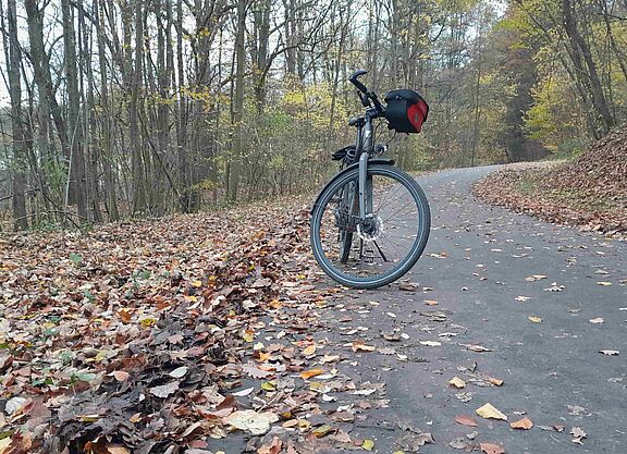 Gekehrter Siebenborn Am Siebenborn wird gekehrt. Keine Blätter mehr, und auch keine Sturzgefahr per Rad im Herbst.